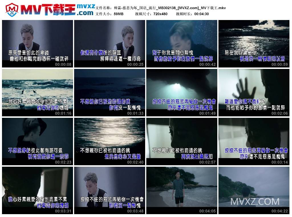 帅霖-慈悲为坏_国语_流行_MB302138